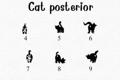 Cat Posterior by Nongyao — Dingbats Font — thumbnail 4