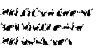 Cat Shadow by Nun Sukhwan — Dingbats Font — thumbnail 8