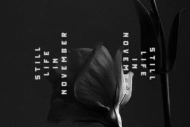 Caverson by Storytype Studio — Slab Serif Font — thumbnail 5