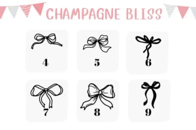 Champagne Bliss by CHANOK — Dingbats Font — thumbnail 4
