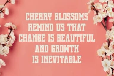 Cherry Blossom by Pian45 — Slab Serif Font — thumbnail 2
