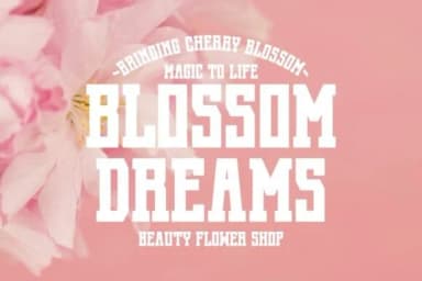 Cherry Blossom by Pian45 — Slab Serif Font — thumbnail 3
