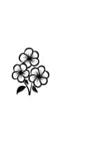 Cherry Blossom Happiness by MOMAT THIRTYONE — Dingbats Font — thumbnail 7