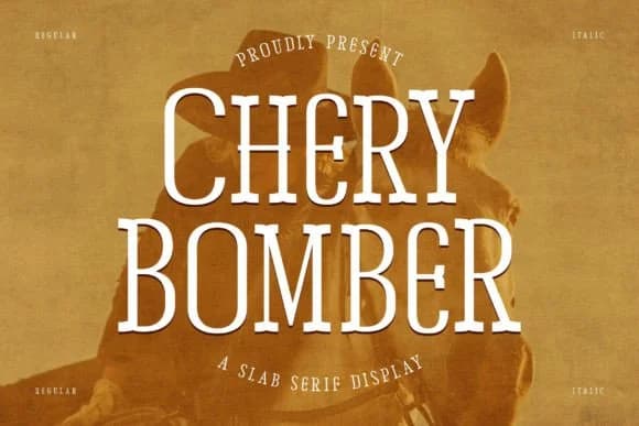 Chery Bomber by Storytype Studio — Slab Serif Font