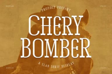 Chery Bomber by Storytype Studio — Slab Serif Font — thumbnail 1