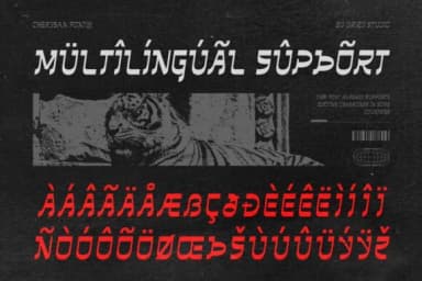 Cherysan by Drizy Studio — Slab Serif Font — thumbnail 5