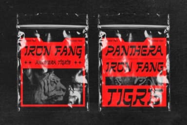 Cherysan by Drizy Studio — Slab Serif Font — thumbnail 8