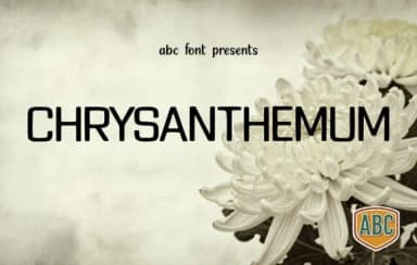 Chrysanthemum by ABC Font — Slab Serif Font — thumbnail 1
