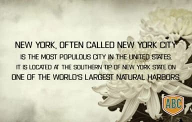 Chrysanthemum by ABC Font — Slab Serif Font — thumbnail 3