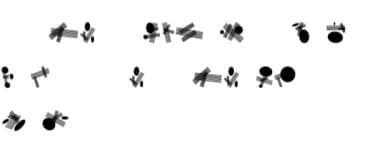 Circle and Line by vladimirnikolic — Dingbats Font — thumbnail 5