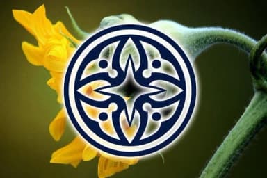 Circular Ornaments by vladimirnikolic — Dingbats Font — thumbnail 3