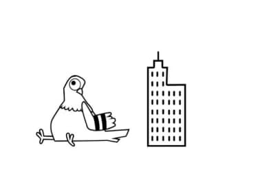 City Coo Crew Dingbats by Illustration Ink — Dingbats Font — thumbnail 4