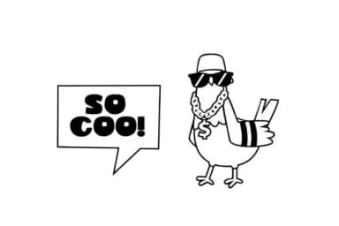 City Coo Crew Dingbats by Illustration Ink — Dingbats Font — thumbnail 5