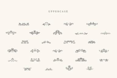 Clamshell Divider by CraftedType Studio — Dingbats Font — thumbnail 2