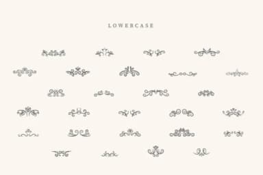 Clamshell Divider by CraftedType Studio — Dingbats Font — thumbnail 3