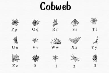 Cobweb by Nongyao — Dingbats Font — thumbnail 3