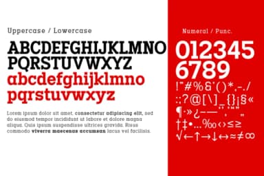 Codename Fx by Differentialtype — Slab Serif Font — thumbnail 2