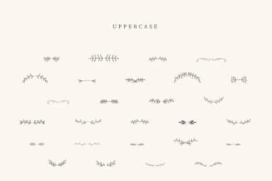 Coffe Divider by CraftedType Studio — Dingbats Font — thumbnail 2