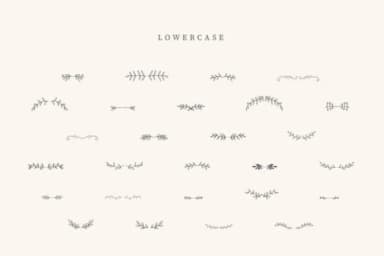 Coffe Divider by CraftedType Studio — Dingbats Font — thumbnail 3