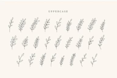 Coffe Leaves by CraftedType Studio — Dingbats Font — thumbnail 2