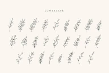 Coffe Leaves by CraftedType Studio — Dingbats Font — thumbnail 3