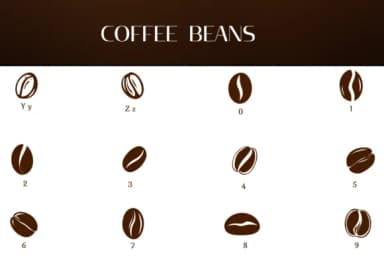 Coffee Beans by Heartcraft Atelier — Dingbats Font — thumbnail 4