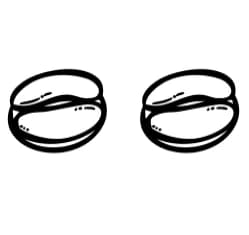 Coffee Beans by Heartcraft Atelier — Dingbats Font — thumbnail 8