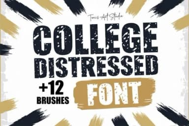 College Distressed by TonisArtStudio — Slab Serif Font — thumbnail 1