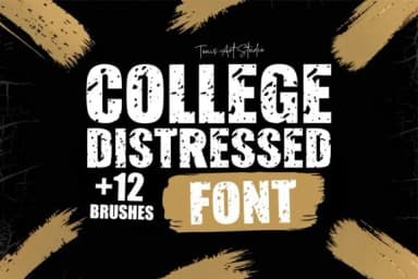 College Distressed by TonisArtStudio — Slab Serif Font — thumbnail 2