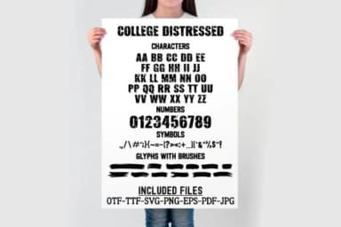 College Distressed by TonisArtStudio — Slab Serif Font — thumbnail 3