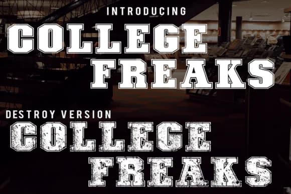College Freaks by CconceptLab Digitals — Slab Serif Font