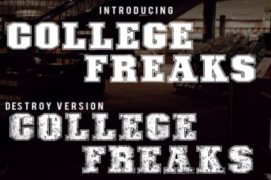 College Freaks by CconceptLab Digitals — Slab Serif Font — thumbnail 1