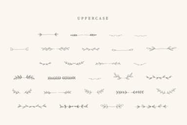 Coquette Divider by CraftedType Studio — Dingbats Font — thumbnail 2