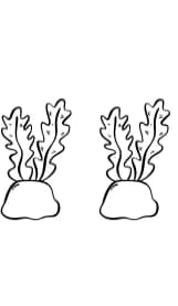 Coral by Sirinart — Dingbats Font — thumbnail 8