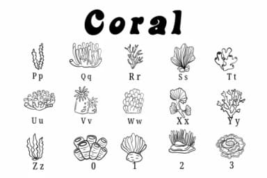 Coral by Suphitchaya — Dingbats Font — thumbnail 3