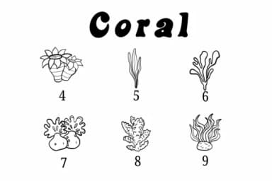 Coral by Suphitchaya — Dingbats Font — thumbnail 4