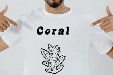 Coral by Suphitchaya — Dingbats Font — thumbnail 6