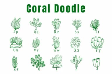 Coral Doodle by Suphitchaya — Dingbats Font — thumbnail 3