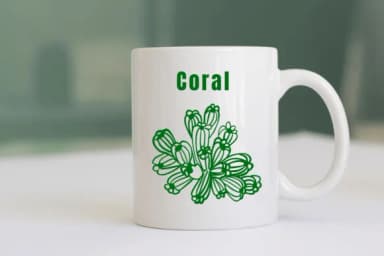 Coral Doodle by Suphitchaya — Dingbats Font — thumbnail 7