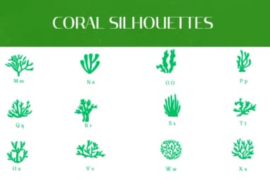 Coral Silhouettes by Heartcraft Atelier — Dingbats Font — thumbnail 3
