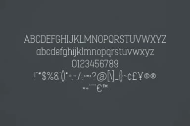 Cork by vladfedotovv — Slab Serif Font — thumbnail 2
