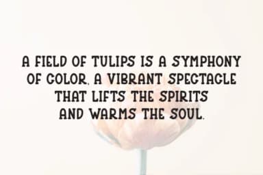 Cozy Tulips by Letterayu — Slab Serif Font — thumbnail 3