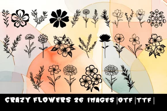 Crazy Flowers by MOMAT THIRTYONE — Dingbats Font