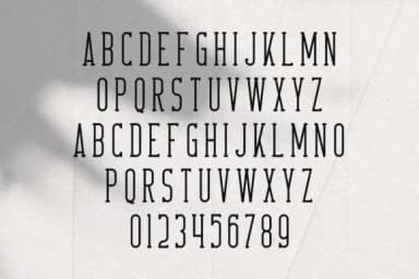 Crossroad by vladfedotovv — Slab Serif Font — thumbnail 2