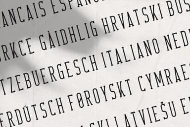 Crossroad by vladfedotovv — Slab Serif Font — thumbnail 3