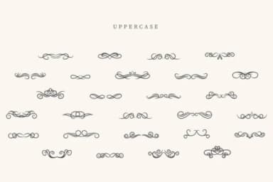 Cursive Divider by CraftedType Studio — Dingbats Font — thumbnail 2