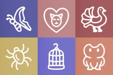 Cute Animals by YandiDesigns — Dingbats Font — thumbnail 3