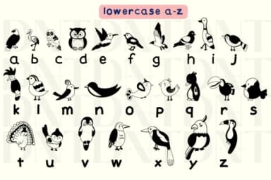 Cute Bird Set One by Danita.kukkai — Dingbats Font — thumbnail 3