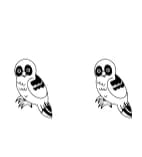 Cute Bird Set One by Danita.kukkai — Dingbats Font — thumbnail 5