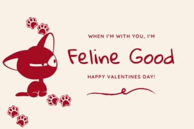 Cute Cat by PraewDesigns — Dingbats Font — thumbnail 5